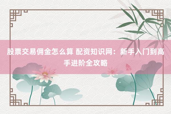 股票交易佣金怎么算 配资知识网：新手入门到高手进阶全攻略