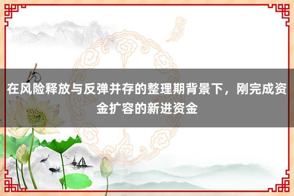 在风险释放与反弹并存的整理期背景下,刚完成资金扩容的新进资金