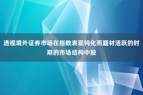 透视境外证券市场在指数表现钝化而题材活跃的时期的市场结构中股