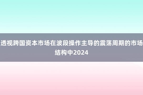 透视跨国资本市场在波段操作主导的震荡周期的市场结构中2024