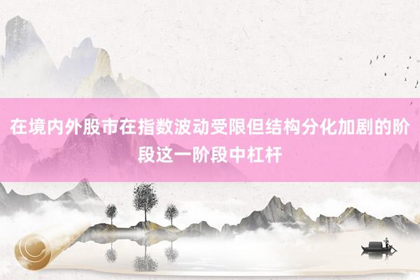 在境内外股市在指数波动受限但结构分化加剧的阶段这一阶段中杠杆