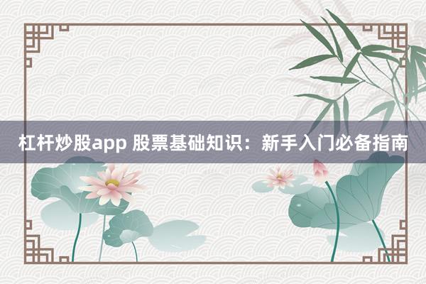 杠杆炒股app 股票基础知识：新手入门必备指南