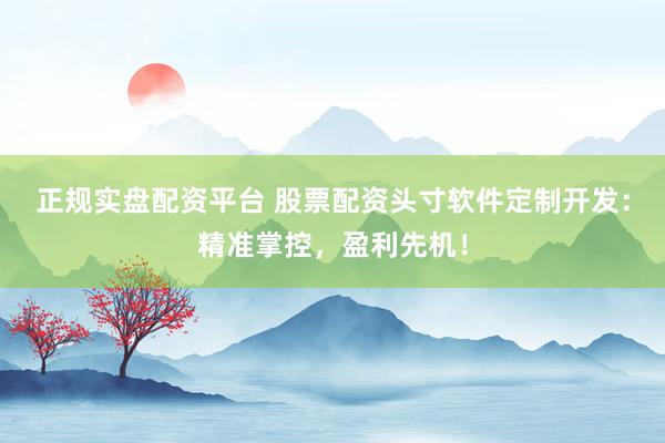 正规实盘配资平台 股票配资头寸软件定制开发：精准掌控，盈利先机！