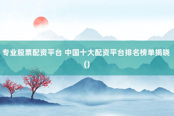 专业股票配资平台 中国十大配资平台排名榜单揭晓 ()