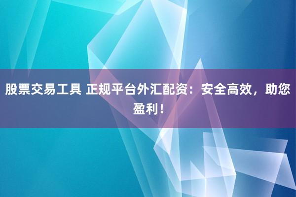 股票交易工具 正规平台外汇配资:安全高效,助您盈利!