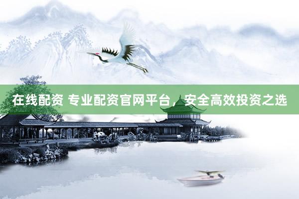在线配资 专业配资官网平台，安全高效投资之选