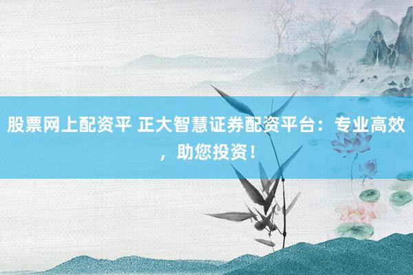 股票网上配资平 正大智慧证券配资平台:专业高效,助您投资!