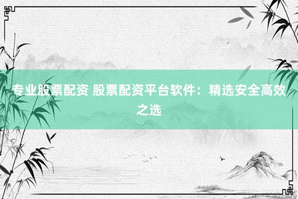 专业股票配资 股票配资平台软件：精选安全高效之选