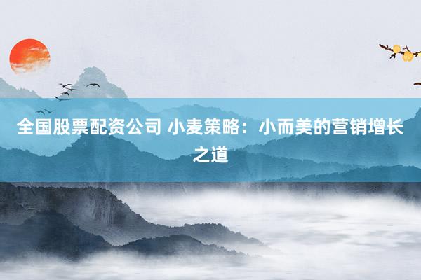 全国股票配资公司 小麦策略：小而美的营销增长之道
