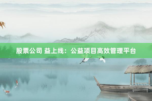 股票公司 益上线：公益项目高效管理平台